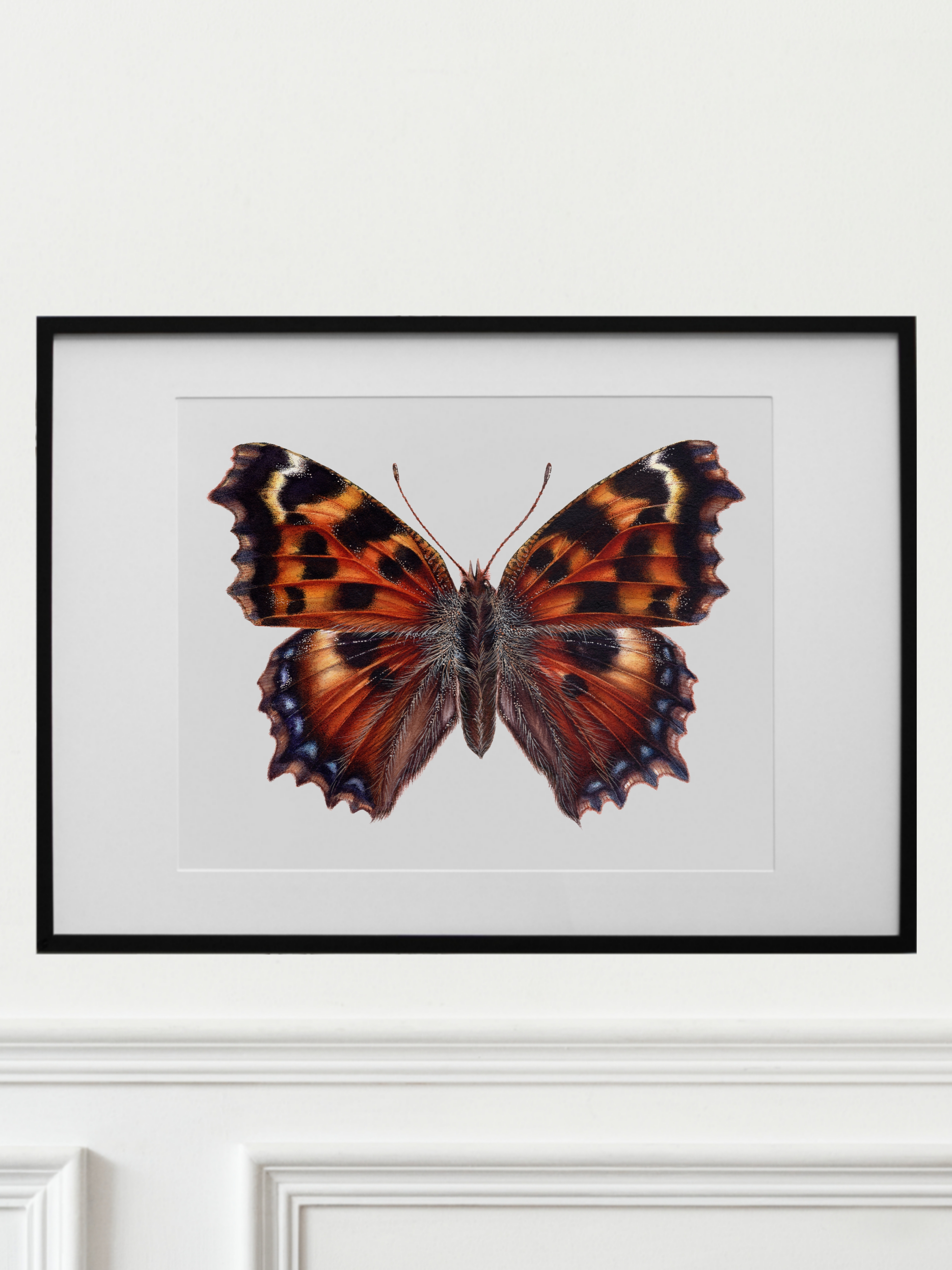 NYMPHALIS POLYCHLOROS